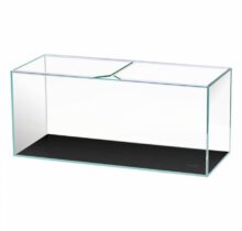buy fish tanks in ajman