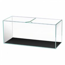 buy small fish tank in ajman UAE