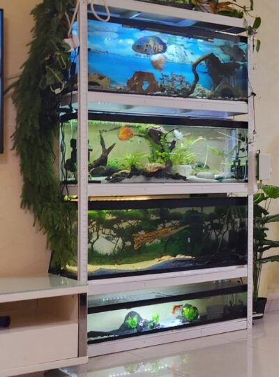 buy fish tank stand in uae