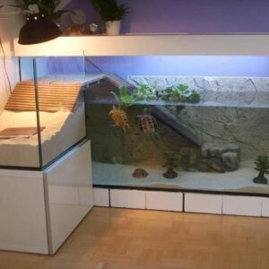 Custom Designed Turtle Tanks with Land and Water Section