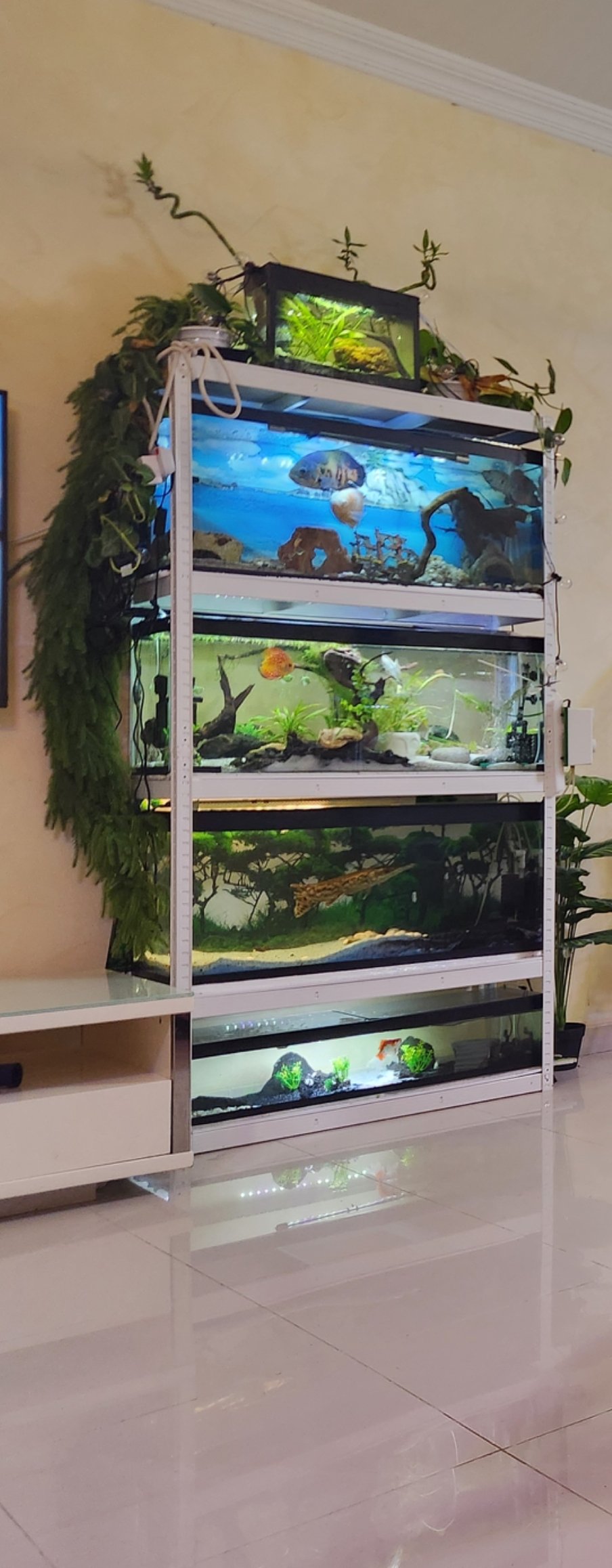 buy fish tank stand in uae