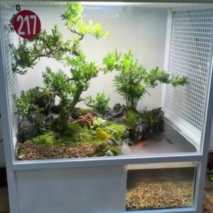 Luxury Custom Bird & Aquatic Habitat – Unique Nature-Inspired Design